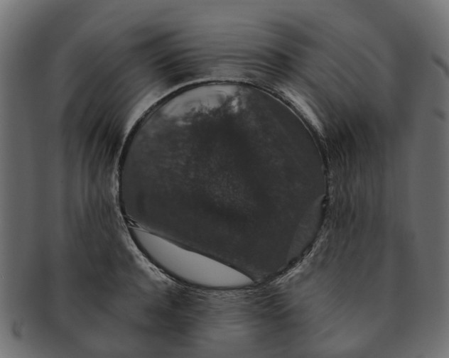 X0000091550944200709071213