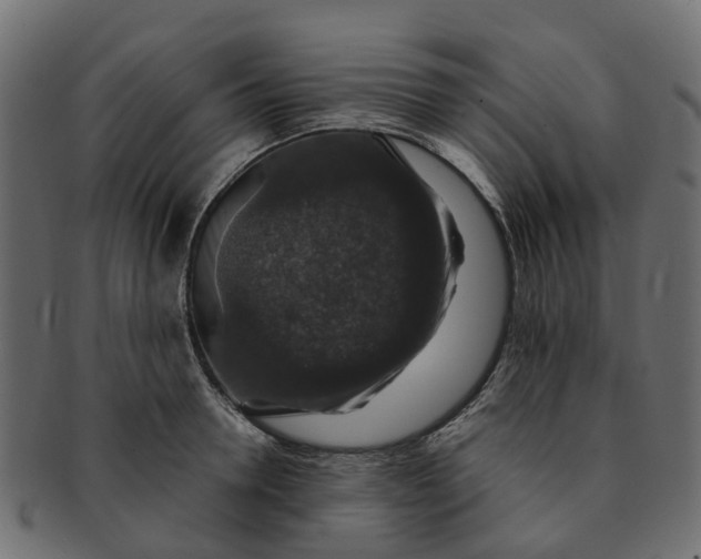 X0000091550946200709071213