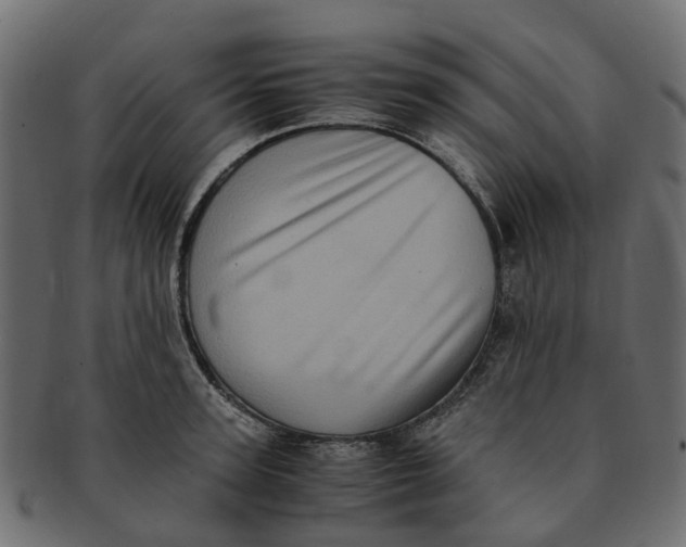 X0000091550947200709071213