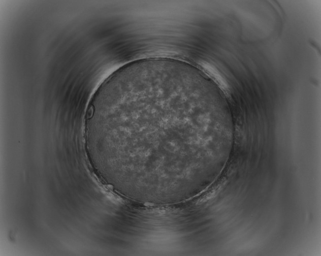X0000091550948200709071213