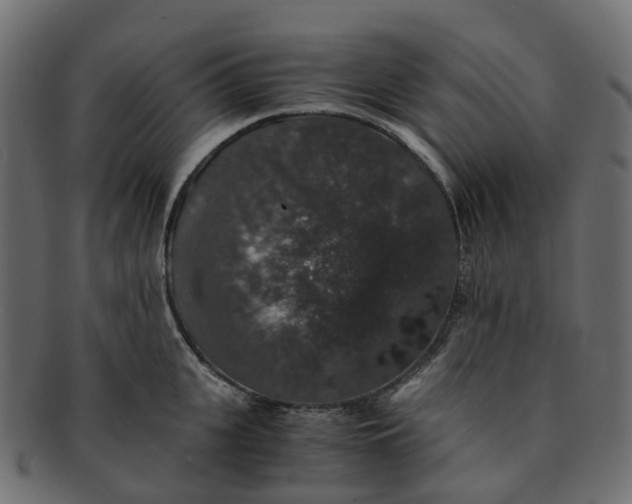X0000091550951200709071213
