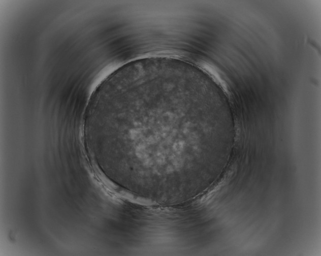 X0000091550952200709071213