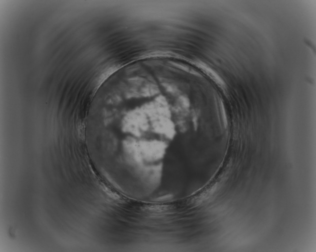 X0000091550953200709071213