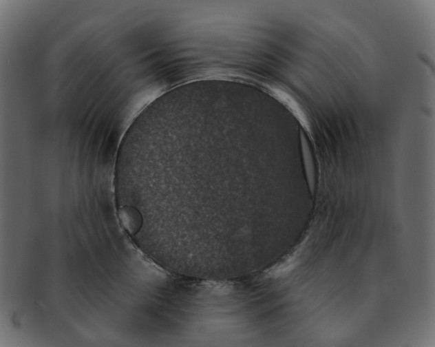 X0000091550954200709071213