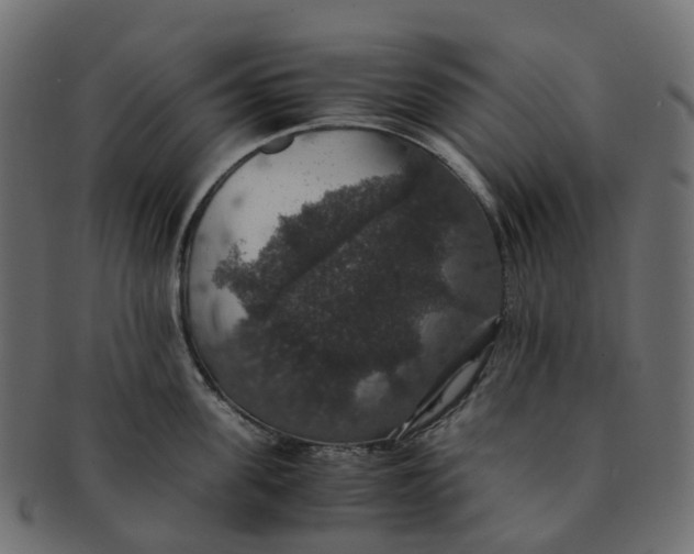 X0000091550955200709071213