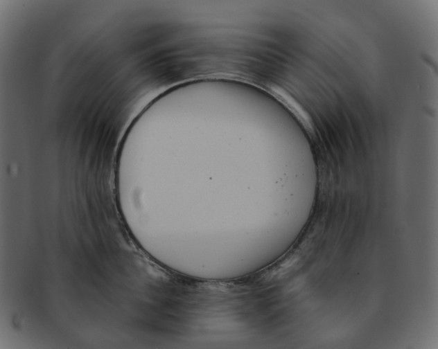 X0000091550956200709071213