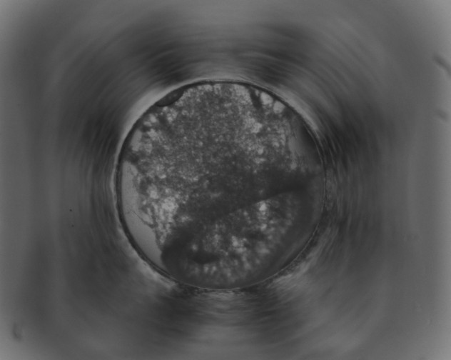 X0000091550959200709071213