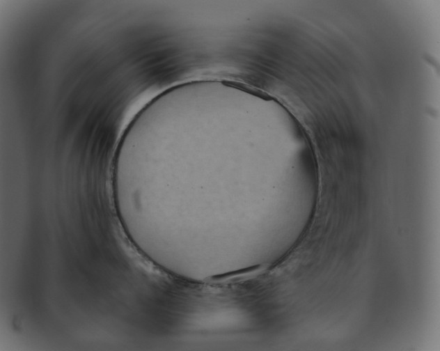 X0000091550960200709071213