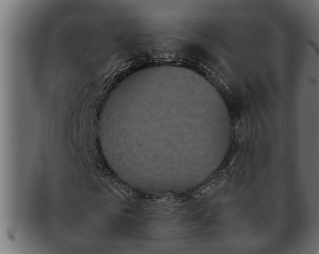 X0000091550961200709071213