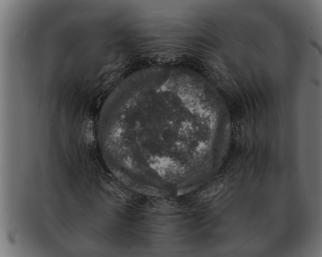 X0000091550962200709071213