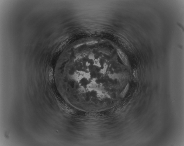 X0000091550963200709071212