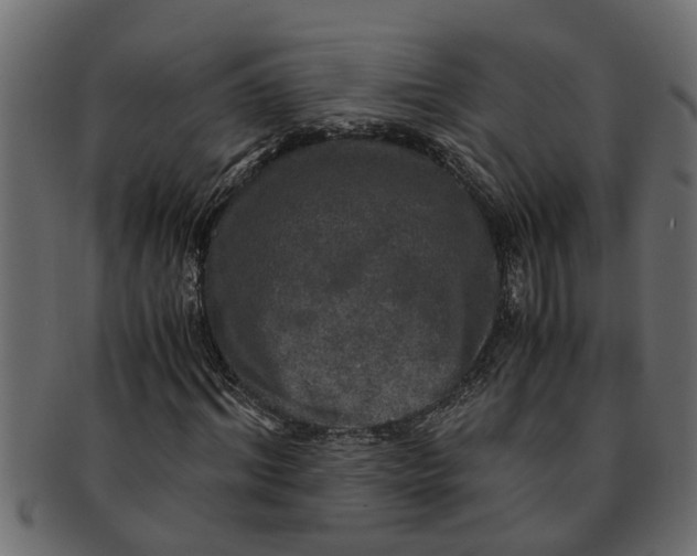X0000091550964200709071212