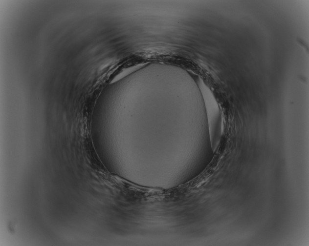 X0000091550965200709071212