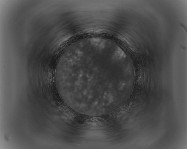 X0000091550966200709071212