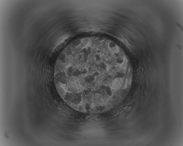 X0000091550967200709071212