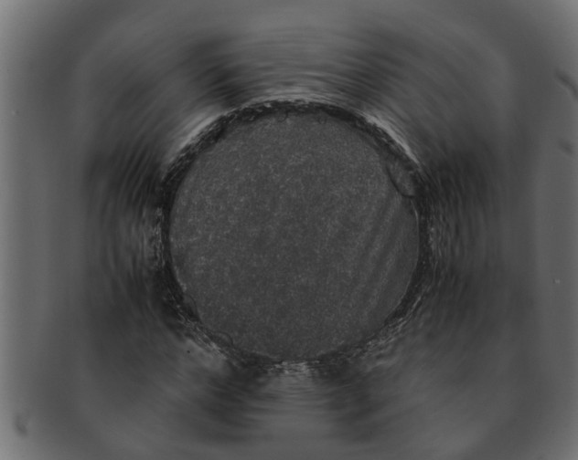 X0000091550968200709071212