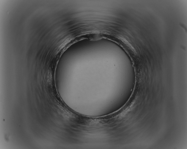 X0000091550969200709071212