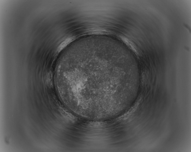X0000091550970200709071212