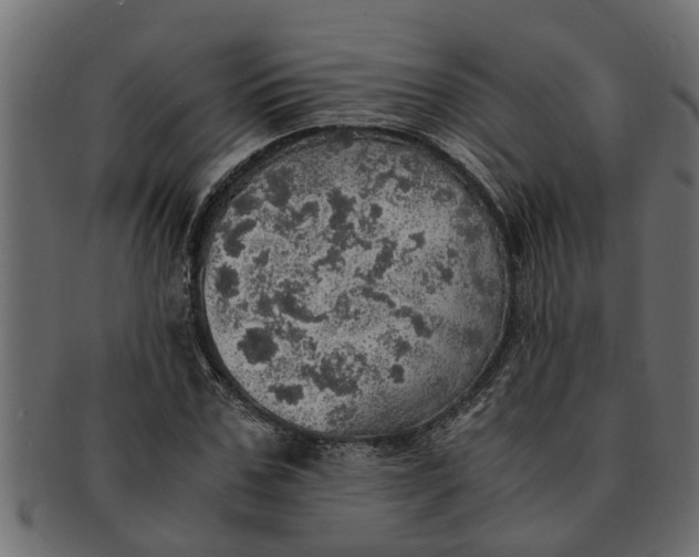 X0000091550971200709071212