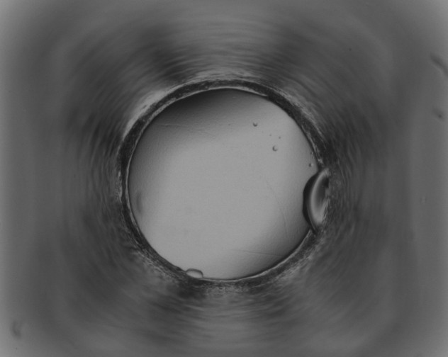X0000091550973200709071212