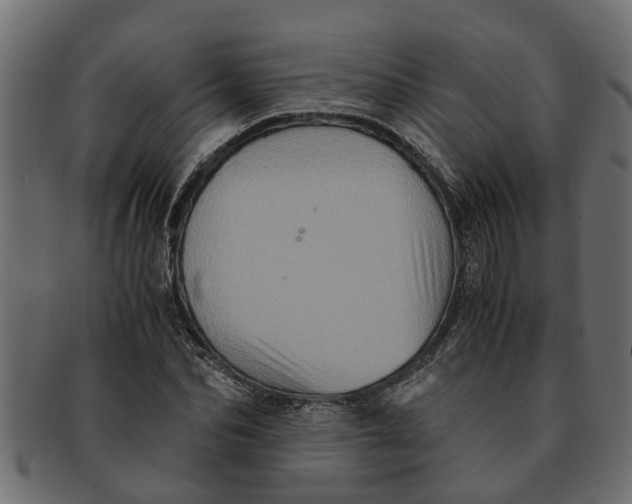 X0000091550974200709071212