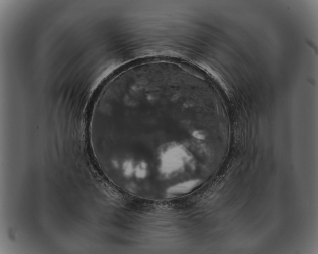 X0000091550975200709071212