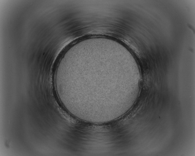 X0000091550976200709071212