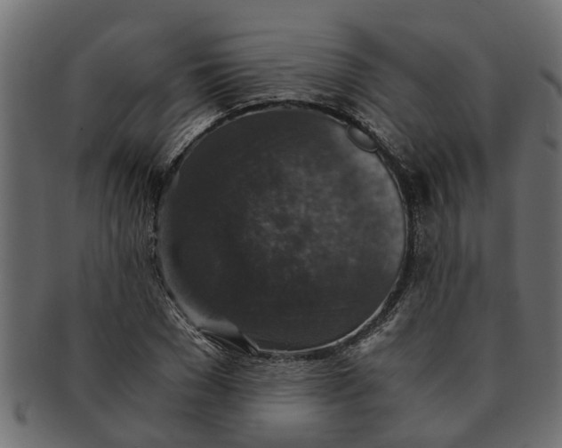 X0000091550977200709071212