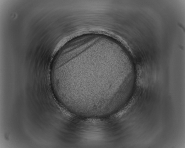 X0000091550978200709071212