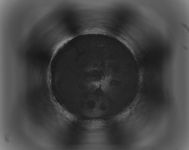 X0000091550979200709071212
