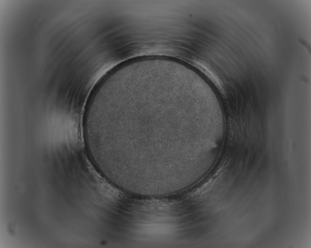 X0000091550980200709071212