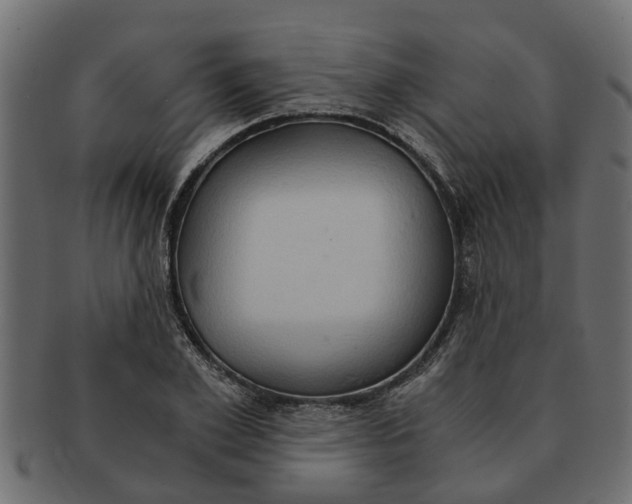 X0000091550981200709071212
