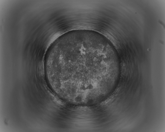 X0000091550982200709071212
