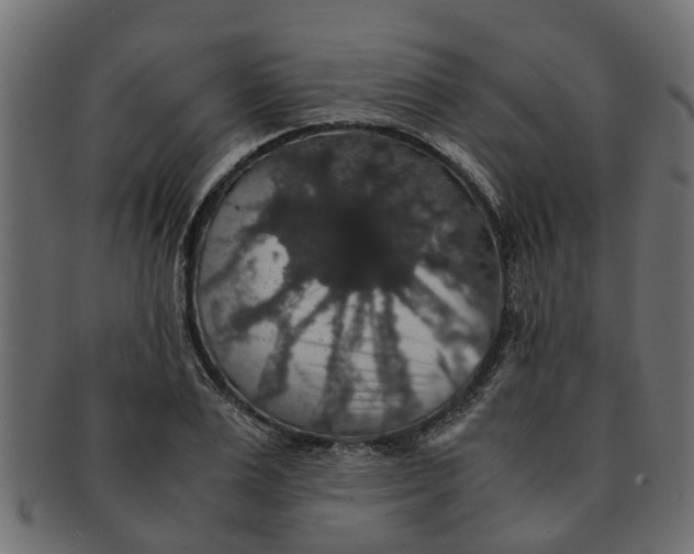 X0000091550983200709071212