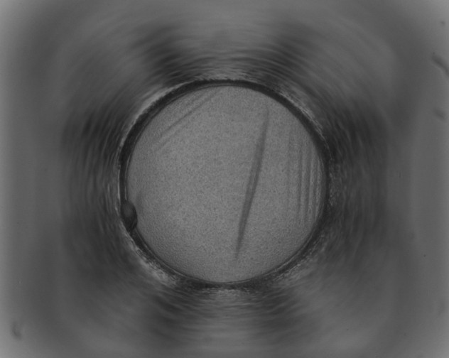 X0000091550984200709071212