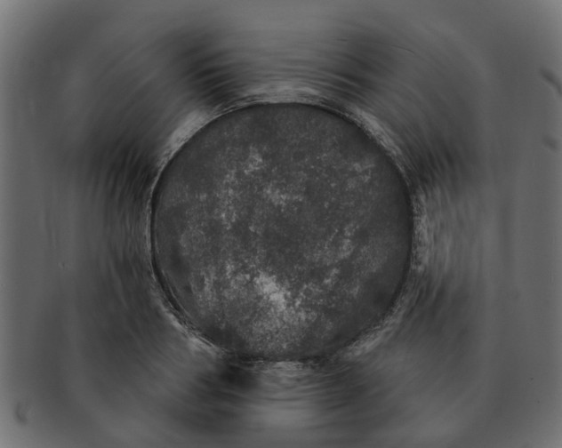 X0000091550986200709071212