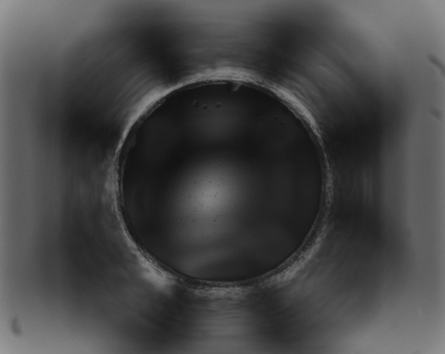 X0000091550989200709071212