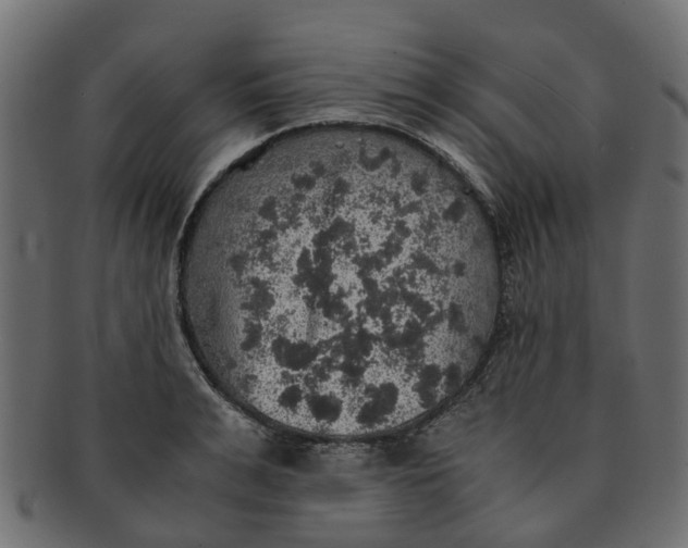 X0000091550991200709071212