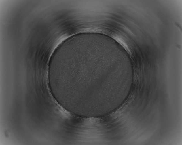 X0000091550992200709071212