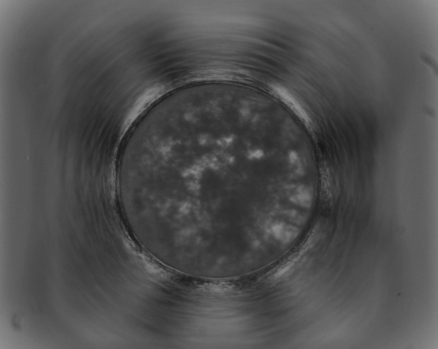 X0000091550994200709071212