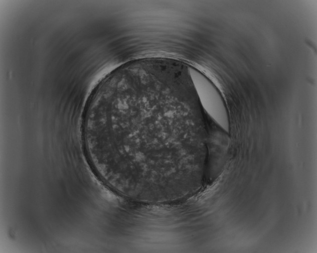 X0000091550995200709071212