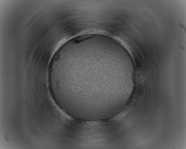 X0000091550997200709071212