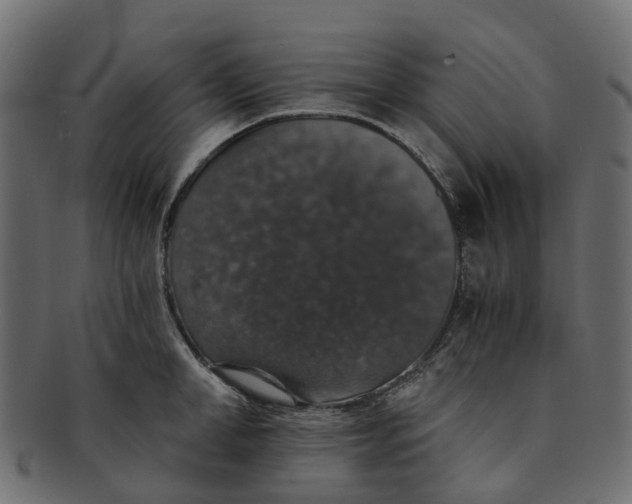 X0000091550998200709071212