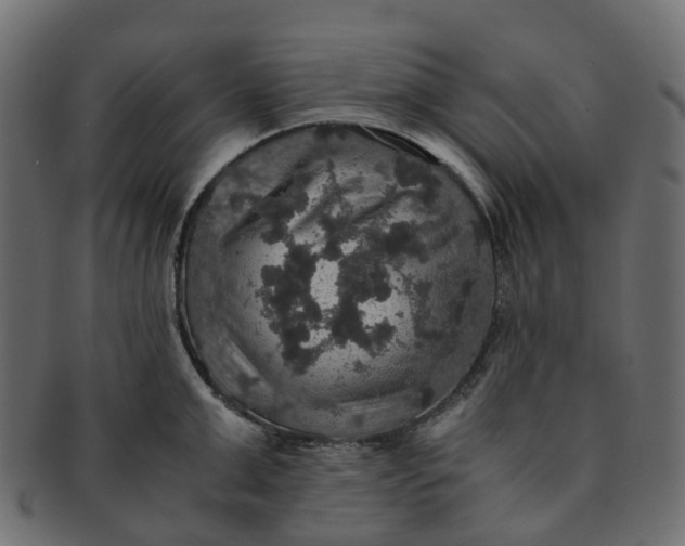 X0000091550999200709071212