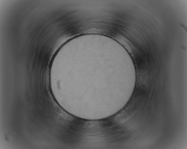 X0000091551000200709071212