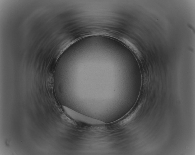 X0000091551001200709071212