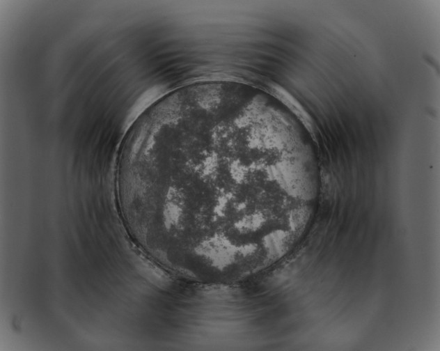 X0000091551002200709071212