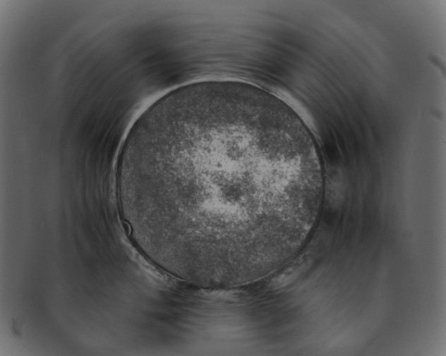 X0000091551004200709071212
