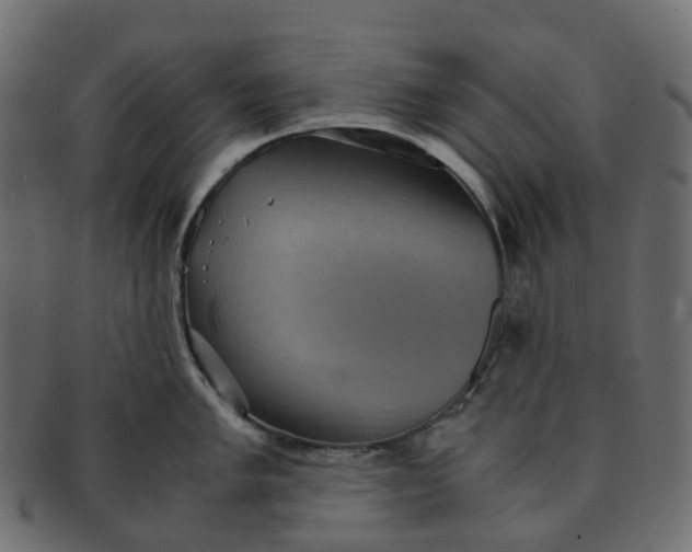 X0000091551005200709071212