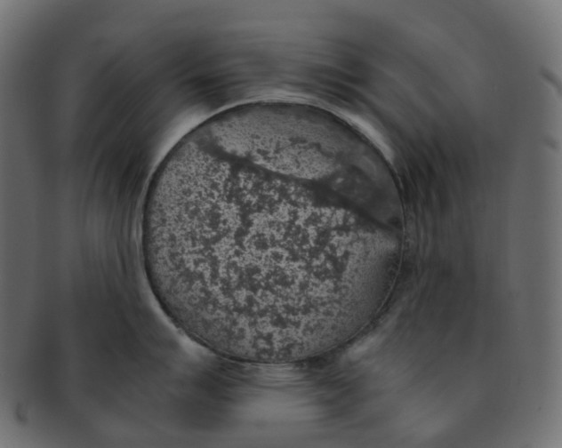 X0000091551007200709071212